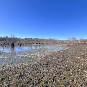 Photo #37 of SOLD property in Off Hwy 561, Halifax, NC 557.1 acres