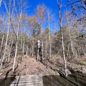 Photo #42 of SOLD property in Off Hwy 561, Halifax, NC 557.1 acres
