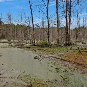 Photo #43 of SOLD property in Off Hwy 561, Halifax, NC 557.1 acres