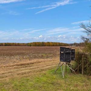 Photo #49 of SOLD property in Off Hwy 561, Halifax, NC 557.1 acres