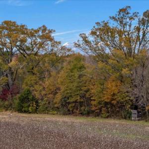 Photo #53 of SOLD property in Off Hwy 561, Halifax, NC 557.1 acres
