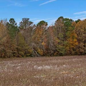 Photo #56 of SOLD property in Off Hwy 561, Halifax, NC 557.1 acres