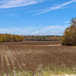 Photo #57 of SOLD property in Off Hwy 561, Halifax, NC 557.1 acres