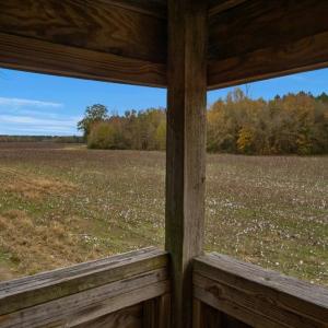Photo #58 of SOLD property in Off Hwy 561, Halifax, NC 557.1 acres