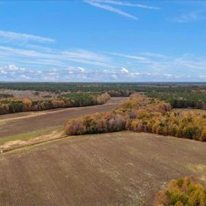 Photo #59 of SOLD property in Off Hwy 561, Halifax, NC 557.1 acres