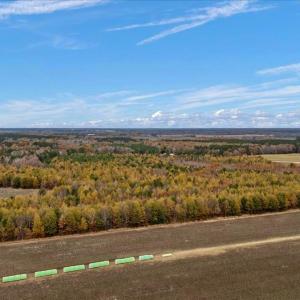 Photo #60 of SOLD property in Off Hwy 561, Halifax, NC 557.1 acres