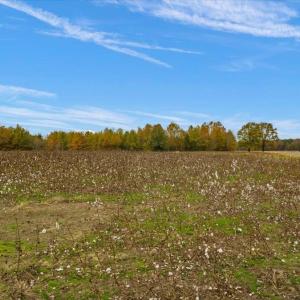 Photo #8 of SOLD property in Off Hwy 561, Halifax, NC 557.1 acres