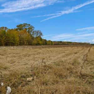Photo #9 of SOLD property in Off Hwy 561, Halifax, NC 557.1 acres