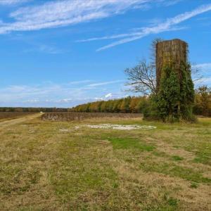 Photo #10 of SOLD property in Off Hwy 561, Halifax, NC 557.1 acres