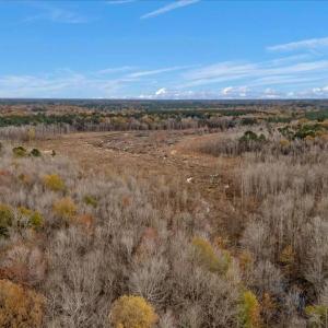 Photo #61 of SOLD property in Off Hwy 561, Halifax, NC 557.1 acres