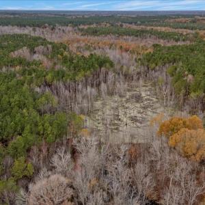 Photo #63 of SOLD property in Off Hwy 561, Halifax, NC 557.1 acres