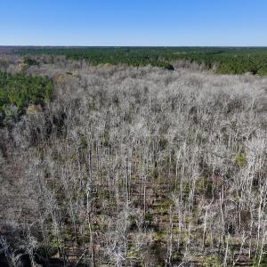 Photo #67 of SOLD property in Off Hwy 561, Halifax, NC 557.1 acres