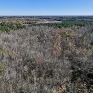 Photo #68 of SOLD property in Off Hwy 561, Halifax, NC 557.1 acres