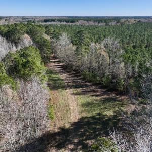 Photo #70 of SOLD property in Off Hwy 561, Halifax, NC 557.1 acres