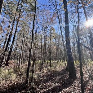 Photo #73 of SOLD property in Off Hwy 561, Halifax, NC 557.1 acres