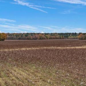 Photo #77 of SOLD property in Off Hwy 561, Halifax, NC 557.1 acres