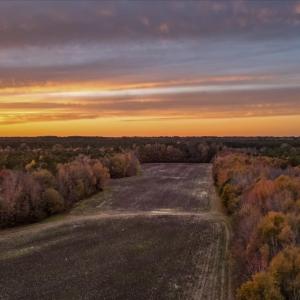 Photo #79 of SOLD property in Off Hwy 561, Halifax, NC 557.1 acres