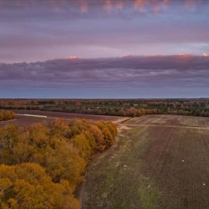 Photo #80 of SOLD property in Off Hwy 561, Halifax, NC 557.1 acres