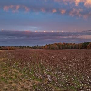 Photo #81 of SOLD property in Off Hwy 561, Halifax, NC 557.1 acres