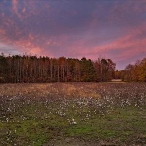 Photo #82 of SOLD property in Off Hwy 561, Halifax, NC 557.1 acres