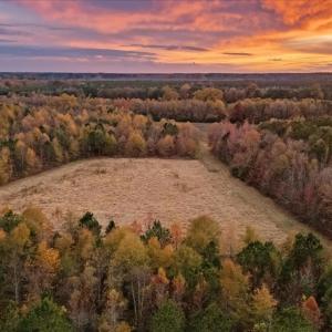 Photo #84 of SOLD property in Off Hwy 561, Halifax, NC 557.1 acres