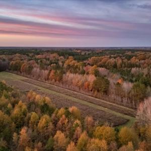 Photo #85 of SOLD property in Off Hwy 561, Halifax, NC 557.1 acres