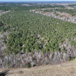 Photo #88 of SOLD property in Off Hwy 561, Halifax, NC 557.1 acres