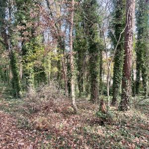 Photo #11 of Off Mid Pines Dr, Winston Salem, NC 0.5 acres