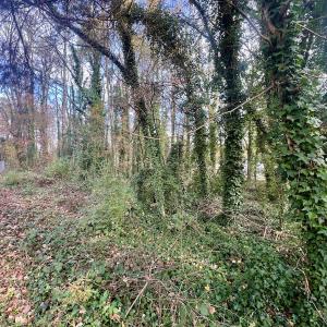 Photo #12 of Off Mid Pines Dr, Winston Salem, NC 0.5 acres