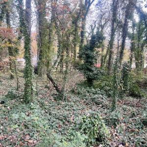 Photo #14 of Off Mid Pines Dr, Winston Salem, NC 0.5 acres