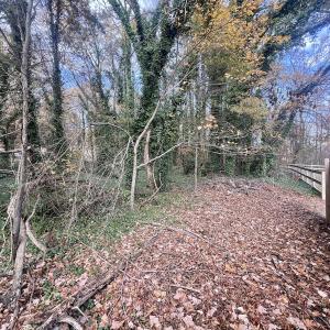 Photo #4 of Off Mid Pines Dr, Winston Salem, NC 0.5 acres