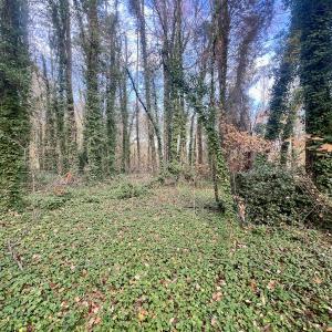 Photo #24 of Off Mid Pines Dr, Winston Salem, NC 0.5 acres