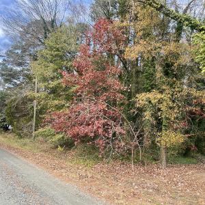 Photo #25 of Off Mid Pines Dr, Winston Salem, NC 0.5 acres