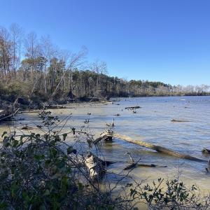 Photo #1 of Off Harvest Point Road, Elizabeth City, NC 170.0 acres