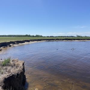 Photo #2 of Off Harvest Point Road, Elizabeth City, NC 170.0 acres