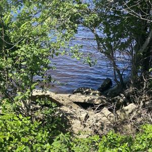 Photo #5 of Off Harvest Point Road, Elizabeth City, NC 170.0 acres