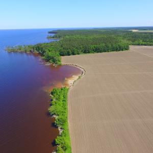 Photo #9 of Off Harvest Point Road, Elizabeth City, NC 170.0 acres