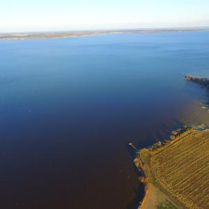 Photo #12 of Off Harvest Point Road, Elizabeth City, NC 170.0 acres