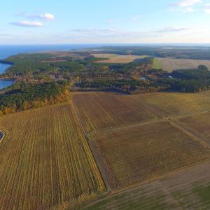 Photo #26 of Off Harvest Point Road, Elizabeth City, NC 170.0 acres