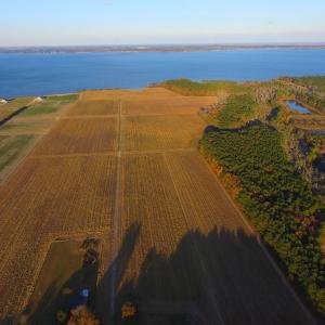 Photo #31 of Off Harvest Point Road, Elizabeth City, NC 170.0 acres