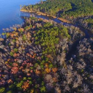Photo #29 of Off Harvest Point Road, Elizabeth City, NC 170.0 acres