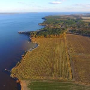 Photo #24 of Off Harvest Point Road, Elizabeth City, NC 170.0 acres