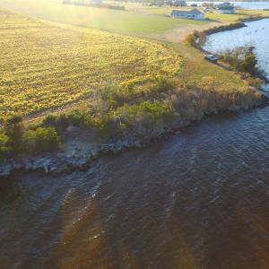 Photo #35 of Off Harvest Point Road, Elizabeth City, NC 170.0 acres