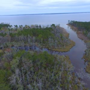 Photo #32 of Off Harvest Point Road, Elizabeth City, NC 170.0 acres