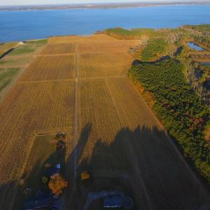 Photo #28 of Off Harvest Point Road, Elizabeth City, NC 170.0 acres