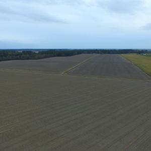 Photo #21 of Off Harvest Point Road, Elizabeth City, NC 170.0 acres