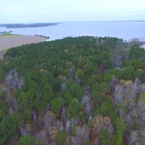 Photo #22 of Off Harvest Point Road, Elizabeth City, NC 170.0 acres
