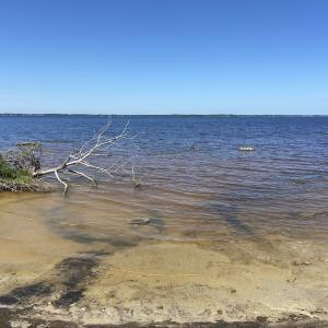 Photo #38 of Off Harvest Point Road, Elizabeth City, NC 170.0 acres