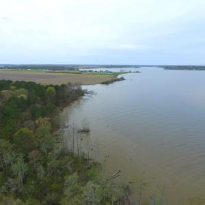 Photo #39 of Off Harvest Point Road, Elizabeth City, NC 170.0 acres