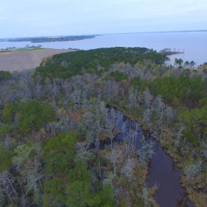Photo #41 of Off Harvest Point Road, Elizabeth City, NC 170.0 acres